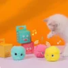 Smart interactive catnip training ball for kittens and cats - Image 5