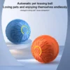Smart Interactive Bouncing Ball for Dogs & Cats - Image 2